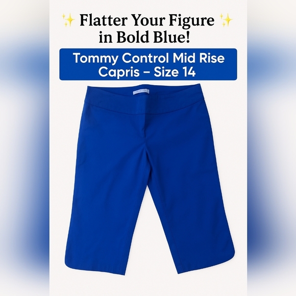 SC&CO US 14  Royal Blue Mid-Rise Capri Pants, Tummy Control Office Casual Chic - Picture 3 of 10